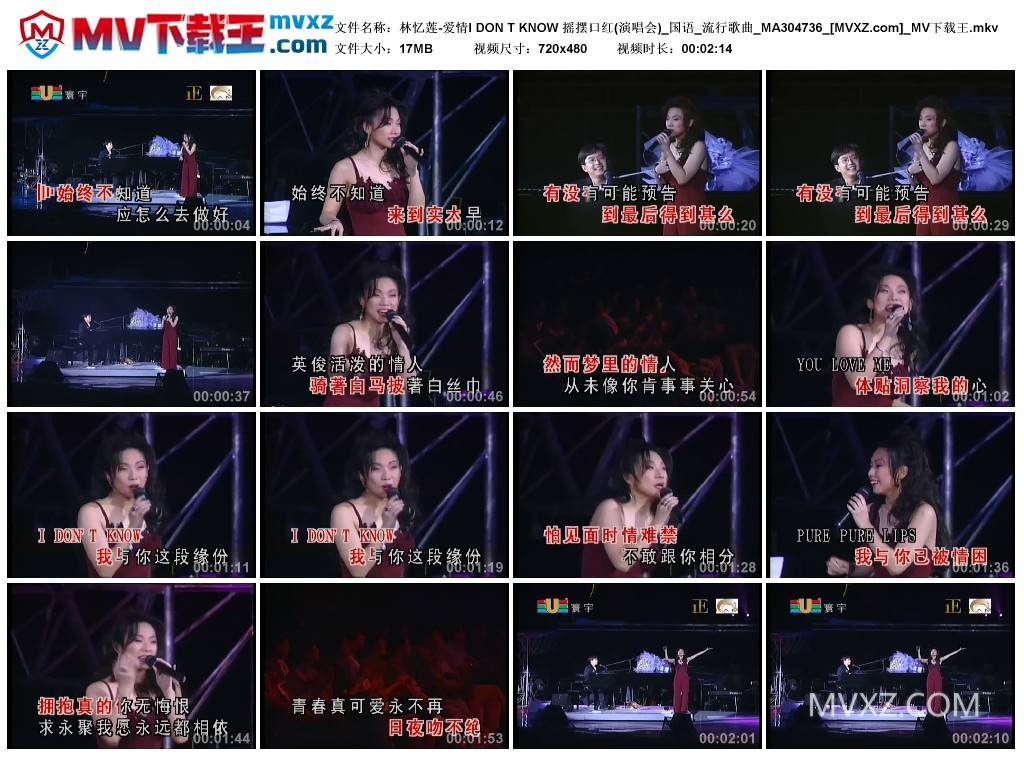 林忆莲-爱情I DON T KNOW 摇摆口红(演唱会)_国语_流行歌曲_MA304736